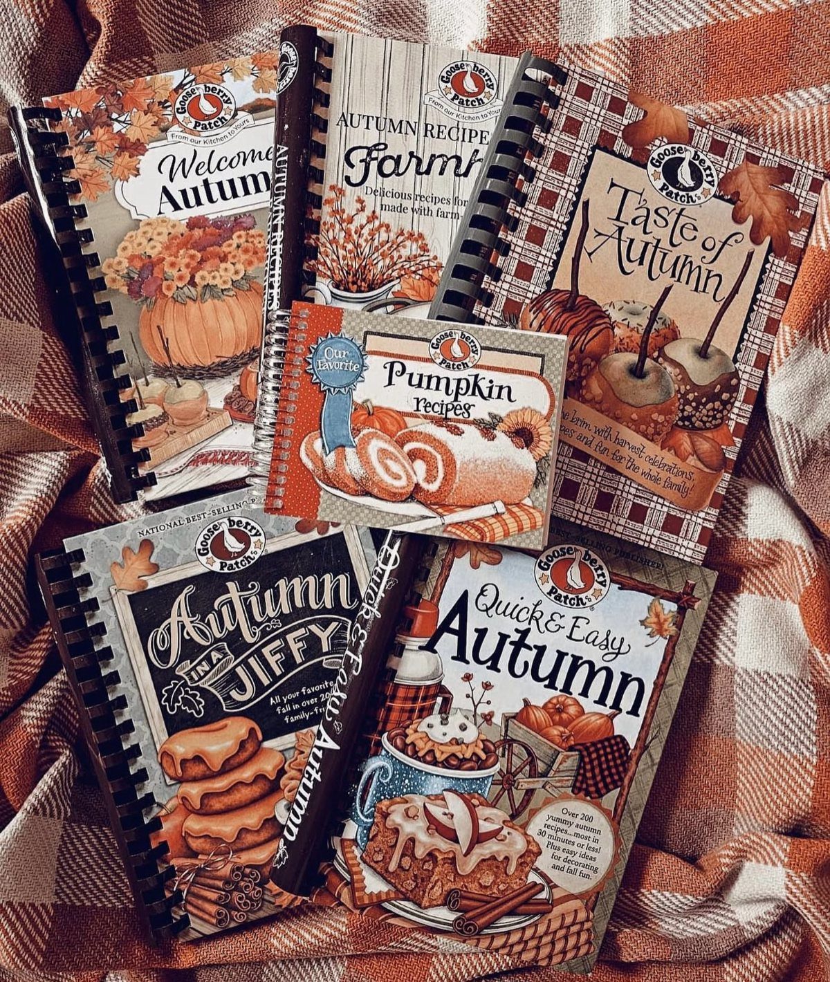 Autumn recipe books with illustrated covers resting on a checkered fabric background.