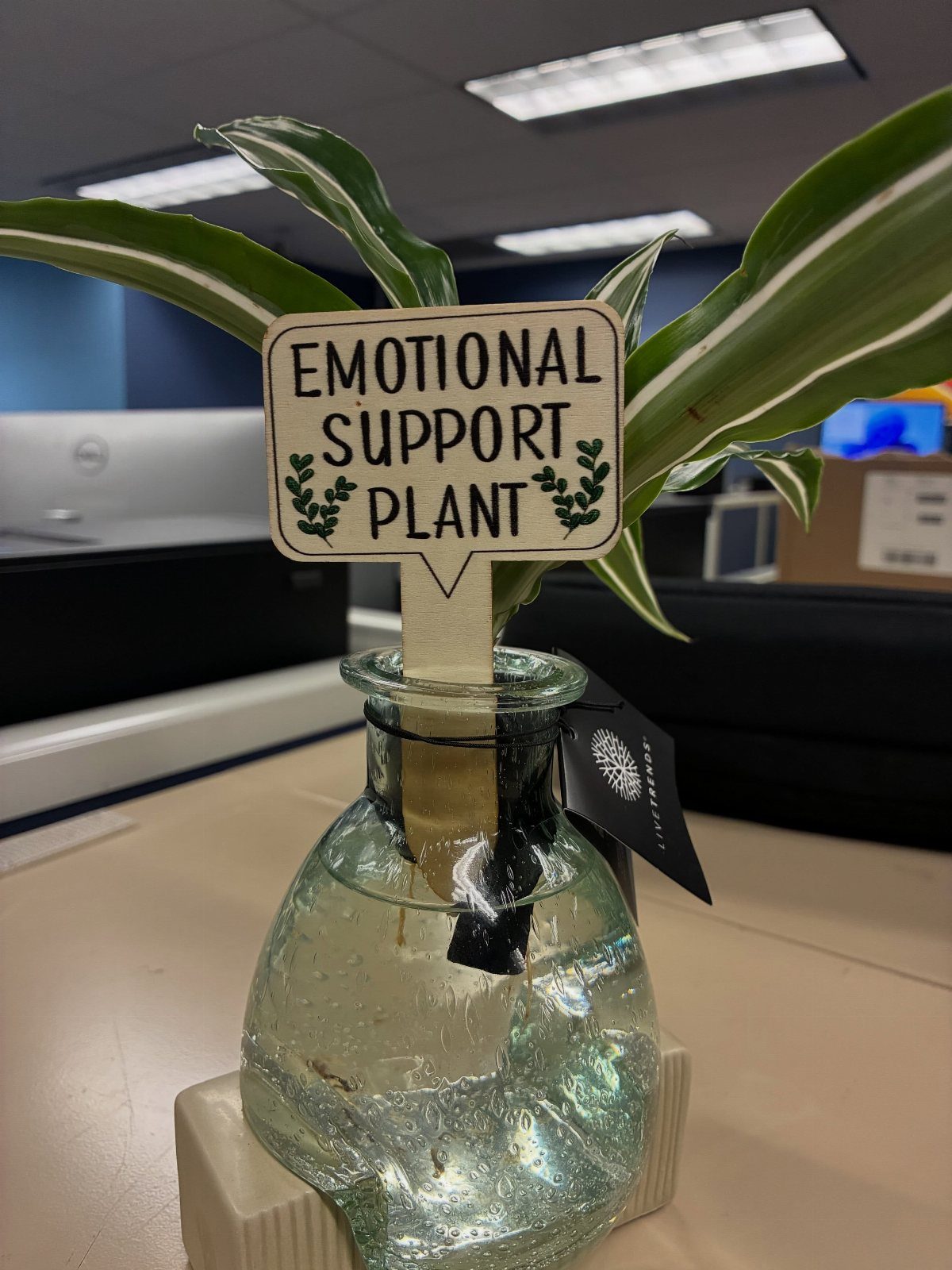 Small striped plant in a glass bottle with an emotional support plant sign.