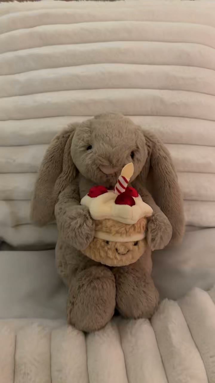 Grey plush bunny rabbit holding a small stuffed cake with red cherries.