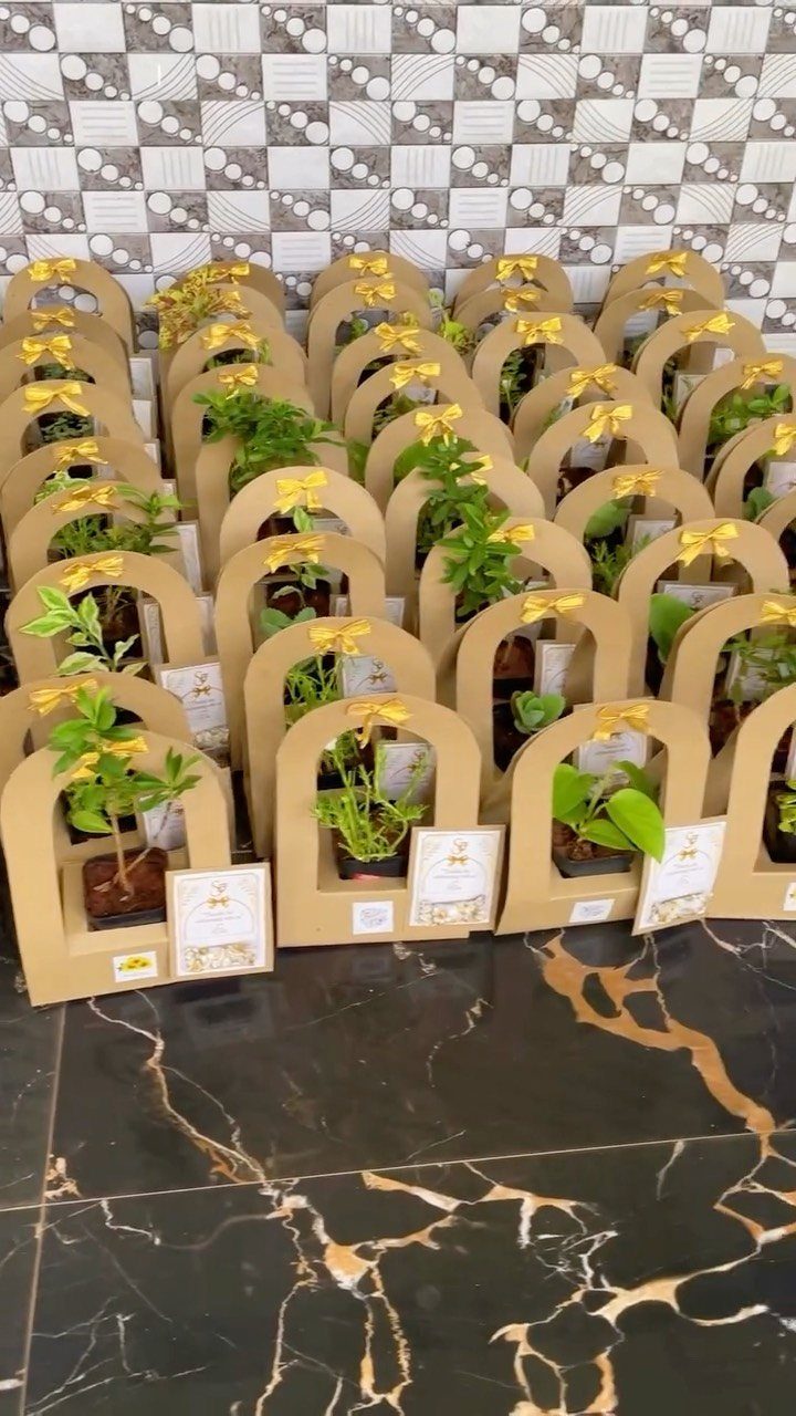 Small green plants in brown cardboard carriers with yellow ribbons on marble floor