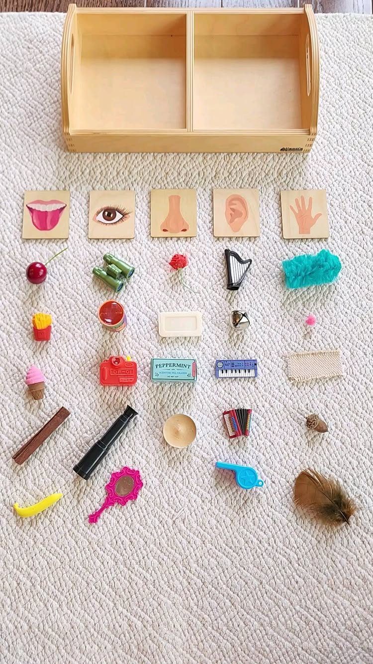 Wooden tray and sensory objects arranged by the five human senses on white fabric