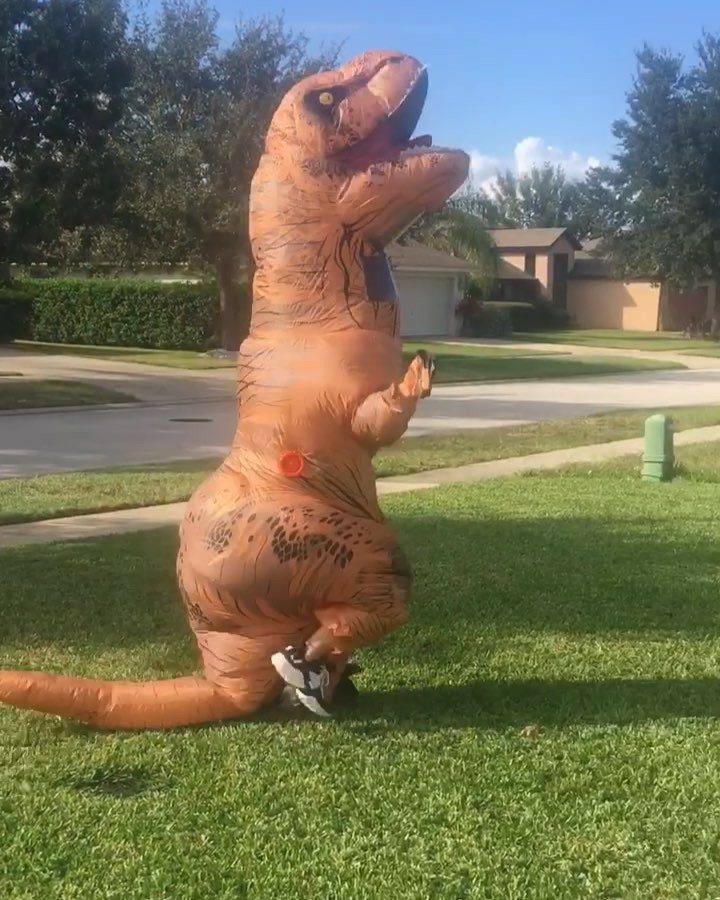 Person in an inflatable T-Rex costume standing on a green suburban lawn