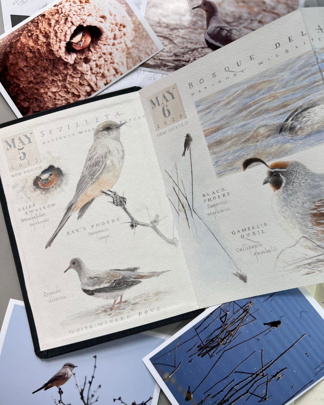 Open birdwatching field journal with sketches of birds and surrounding nature photographs.