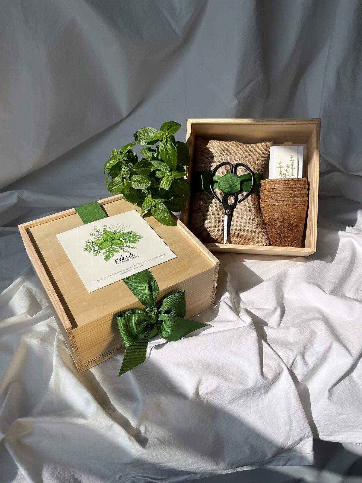 Gardening kit in wooden boxes with pots, scissors, and a small green plant.