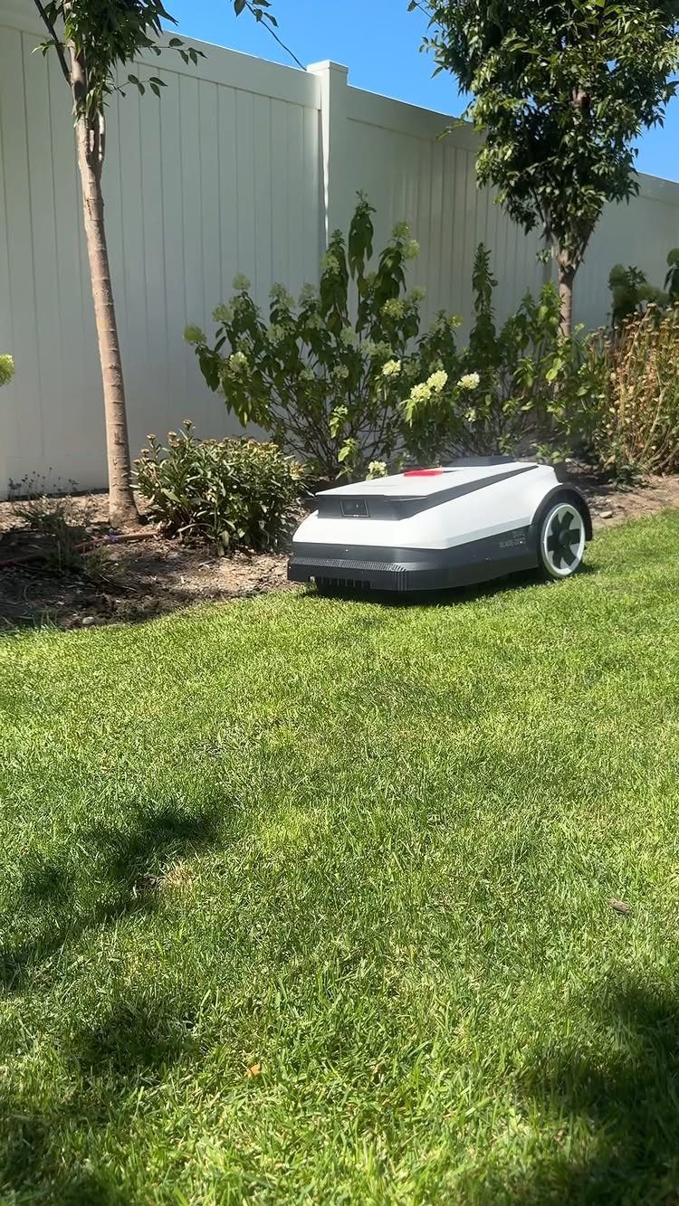 Robotic lawn mower on a green grass lawn in a sunny backyard