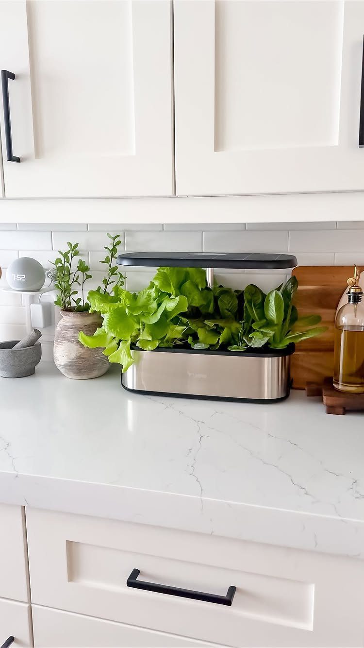 Indoor hydroponic garden with green herbs on a white marble kitchen countertop.