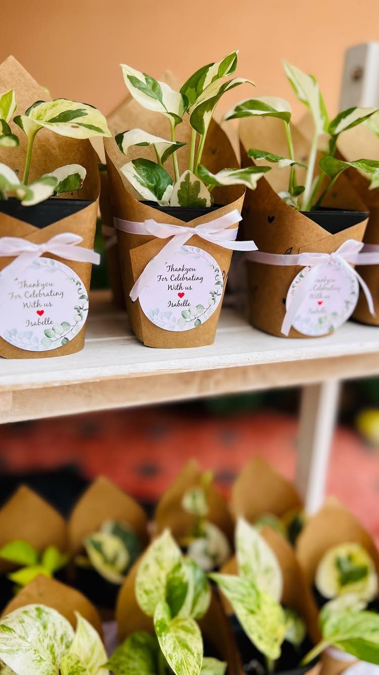 Small variegated plants in brown paper wraps with white ribbons and thank-you tags.