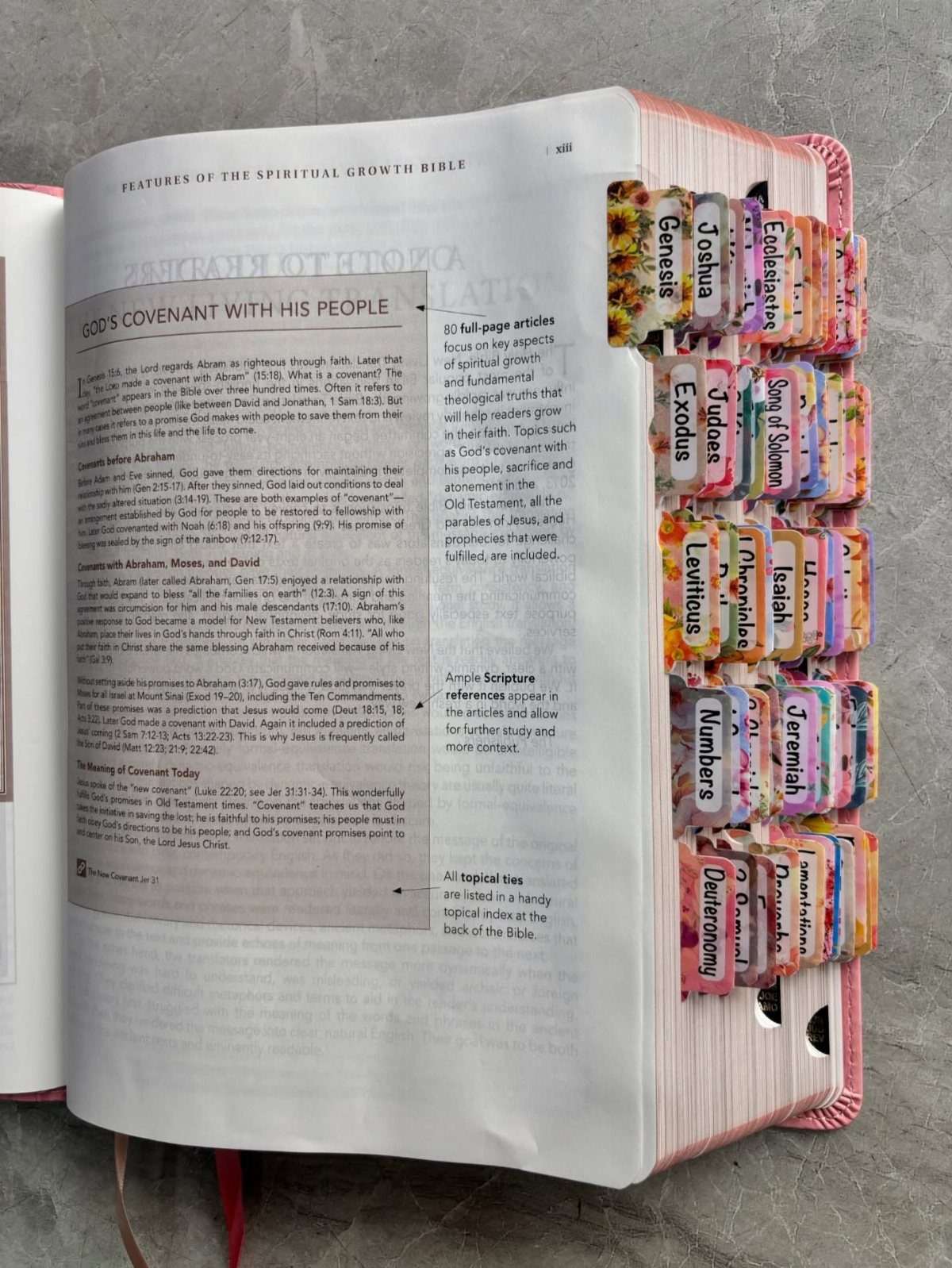 Open Bible with colorful decorative tabs marking various books on a grey surface
