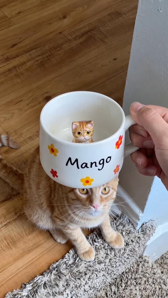 Custom white mug with name Mango and cat figure next to orange tabby cat