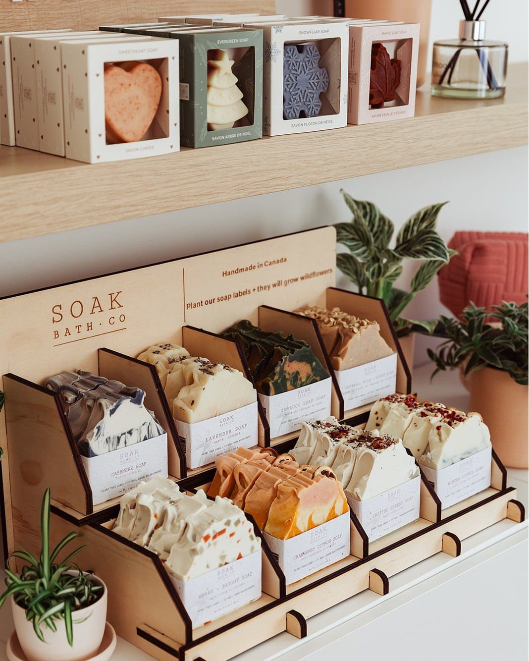 Handmade soaps in various colors and shapes displayed on wooden shelves with plants.